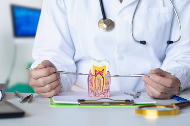 Best Emergency Tooth Extraction in Hopewell, TN